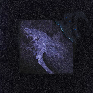 57pao一国产成永久免费
