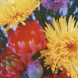 57pao一国产成永久免费
